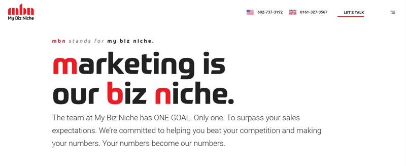 My Biz Niche