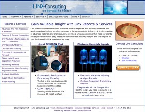 Linx Consulting